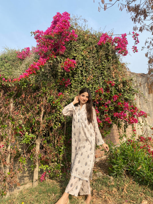 BinNoor Fab Lawn Stitched 2Pcs DE-LA06-P2-S049