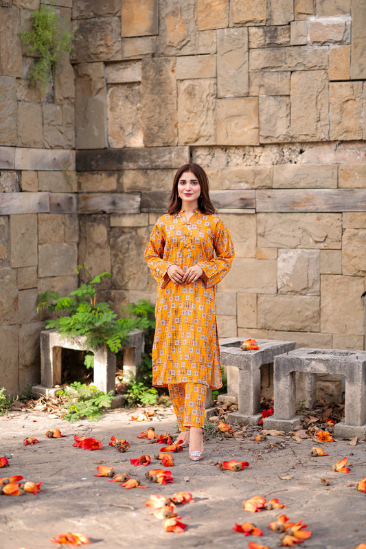 BinNoor Fab Lawn Stitched 2Pcs DE-LA06-P2-S048