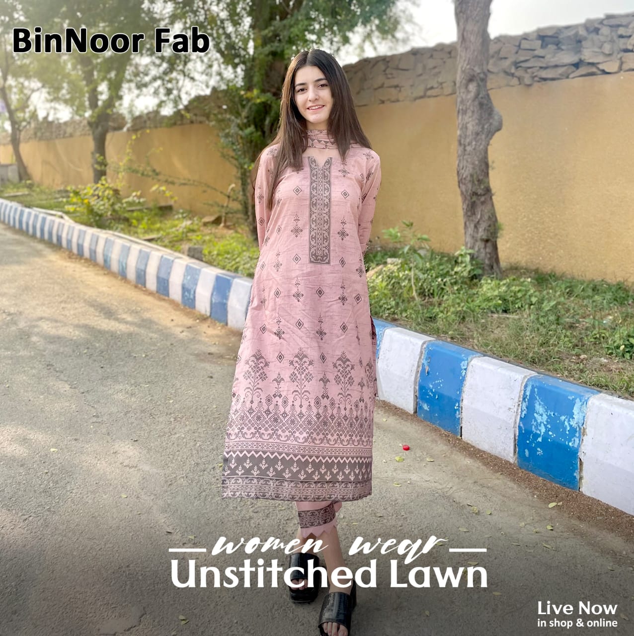 BinNoor Fab Lawn 3Pcs De-LA01-P3008